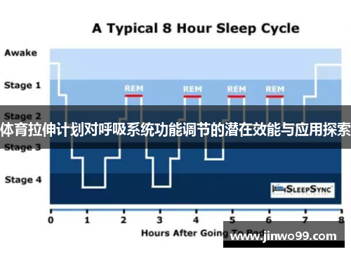 体育拉伸计划对呼吸系统功能调节的潜在效能与应用探索